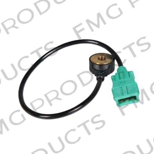 Sensor